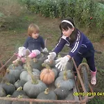 Alojamento de Turismo Rural L'antico Sapore