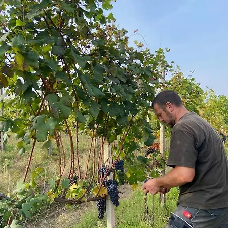 L'antico Sapore Alojamento de Turismo Rural *