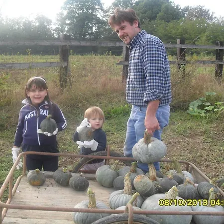 L'antico Sapore Gospodarstwo agroturystyczne *