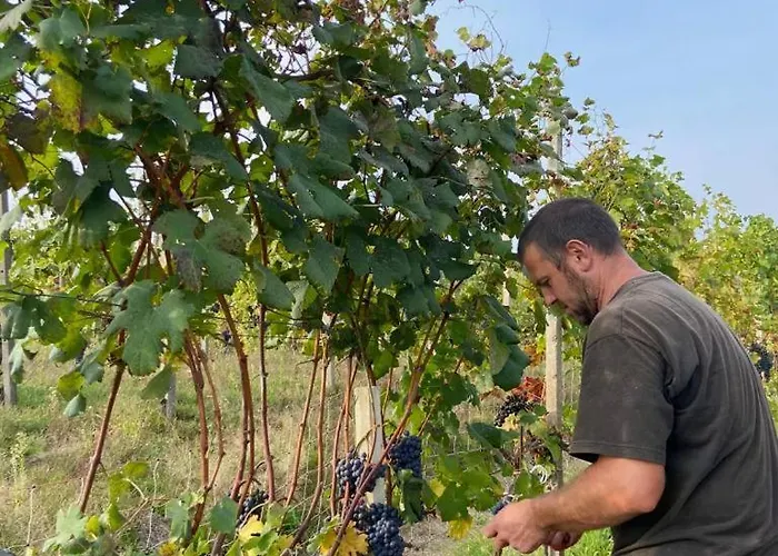 L'antico Sapore مزرعة للإقامة *